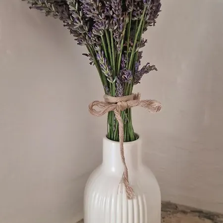Charmante Maison En Provence * La Rochegiron