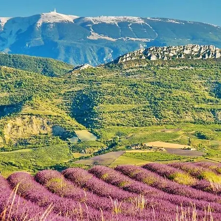 Casa vacanze Charmante Maison En Provence *